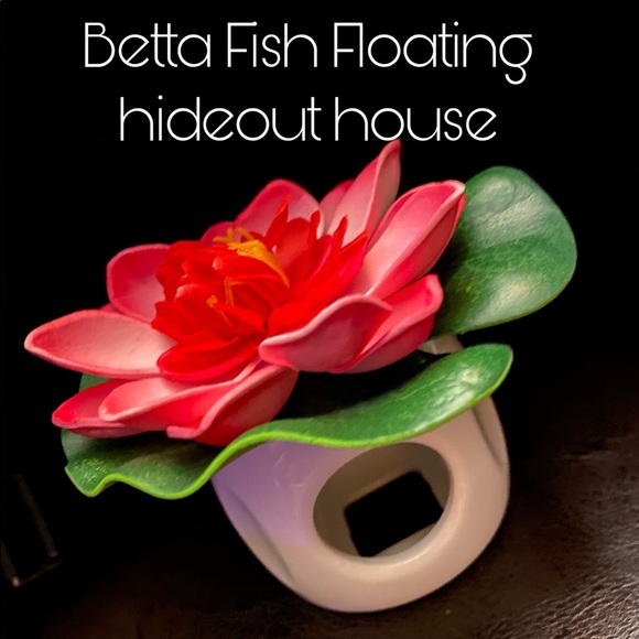 🐬betta fish floating peek a boo hideout - Picture 9 of 10